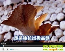 �Ͼ���������Ʒ��(20130425)