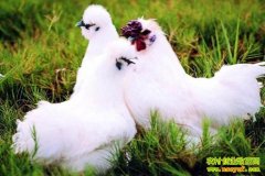 ������˿��3������ϵ��ֳ����(20130430)