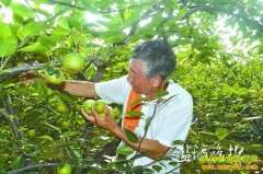 ���ո��������գ�����¥�������¸�