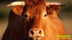 һ��90���ѧ���Ļ�ţ��