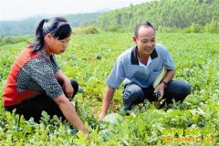 ������ɽ��ũ�嵳Ա����ũ���ֹ��¸�