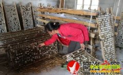 ����������ϼ����ɣ���������¸�