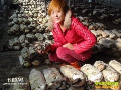 �ӱ�ƽȪ�������ɸ������������¸�·