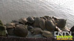 �Ʋ�֮�󿿼��㷭��