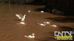 �������㴴����Ů��ѧ�����