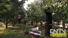 [�¸���]ɽ髴�����־��ĲƸ�����