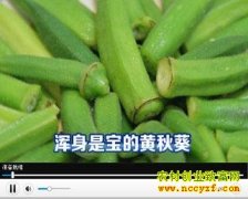 �������Ǳ��Ļ����