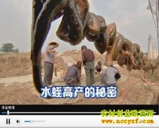 ˮ�θ߲�������