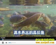 ��ˮ�����߼���[�Ƽ�Է����]