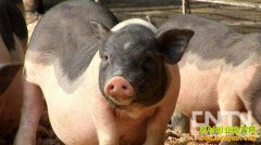 [�¸�������]����ʮ�� ֻ׬����