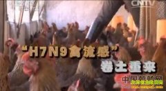 [��ũ]H7N9��������������������