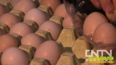 [�¸���]��־���������Լ���׬Ǯ