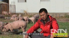 ����Ϊ�ҿ��� ��Ϊȫ������