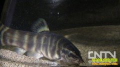 [�¸�����������]��Ǯ��������������