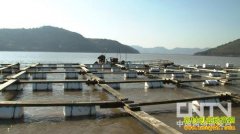 [�¸�����з]�ả����з���ڴ���