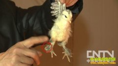 [�¸���]�������Һ�ȹ�Ӽ�3�귭��