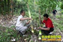 [�¸���]�෽�������׿���18�������