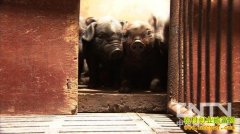 [�¸���]Ϊ��һ�ֺ��� 60���ٴ�ҵ