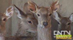 [�¸���]һ��Ů�˱���ȫ������Թ�ı���