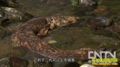 [�¸���������]�������еİܼ��Ӷ���׬Ǯ����