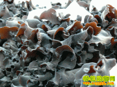 [ũ�����]�ƶ�10�����༼����Ƶ