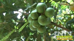 [�¸���]������׬Ǯ�Ϳ�������ҡǮ����