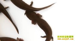 [�¸���]���Ϻ��ꡱ�ⷼƫƫҪ��������