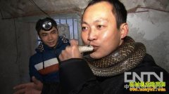 [�¸�������]��������ߵ�������Ƹ�