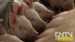 [�¸�������]����ĸд��320��ԪǷ��ȥ����