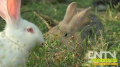 [�¸�������]��ҵһ������ͻȻ���������