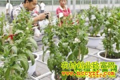 [�Ƽ�Է]��ģ�����˲ι����ڻ�����