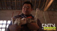 [�¸�������]������30���򷿻������� �����ͬ