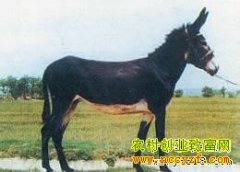 [ÿ��ũ����¿]����¿�����ס���