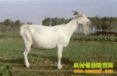 [ũ���������]��ɽ����ֳ������Ƶ