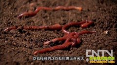 [�¸��������]����˶ʿ��ҵ���������