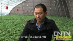 [�¸�����ֲ��ݮ]ȫ����������ծ֮��[��͢���ֲ�ݮ]