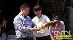 [�¸���������]���±���Ż���׬��Ǯ