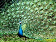 [�����е�����ȸ]���з�������ȸ�ɳ������