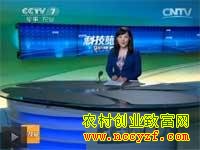 [�Ƽ�Է]�ո����ɵġ������