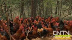 [�¸���������]������Ƹ��Ӳ���ˤ�ļ�����ʼ