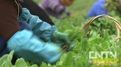 [�¸���]�����ҵ�����洺�ܵ��⽻��ȥ�ֵ�