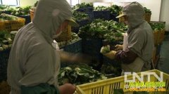 [�¸���]�����Լ����ܵ���һ���¸�����������