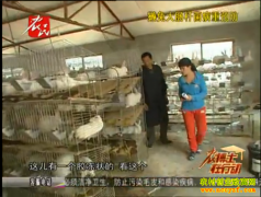 ̡�ô󳦸˾������μ�����Ƶ