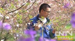 [�¸�����ӣ��]һ��Ǳ����17��ĲƸ��ƻ����£�