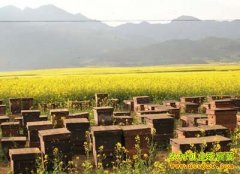 [�����е����۷�]��������· �����˷���