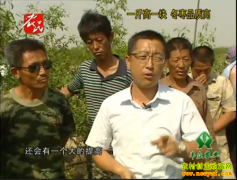 [��ֲר������]һ���һ�� ����Ʒ�ʸ�