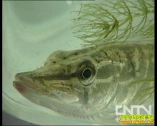 [ũ���������]�װ߹�����ֳ������Ƶ