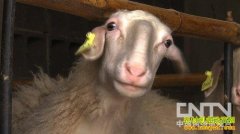 [�¸�������]30���򷿻������� �����ͬ