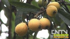 [�¸���������]�ż��ϻ�Ƴ��Ĵ�������