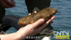 [�¸���������]ʯ���󺣺� �Ƹ�ȥ�Ķ���